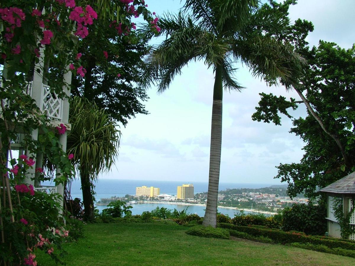 Sky Castles Leilighet Ocho Rios Eksteriør bilde
